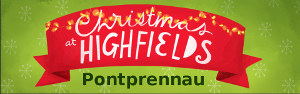 Highfields Christmas - Pontprennau