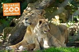Bristol Zoo