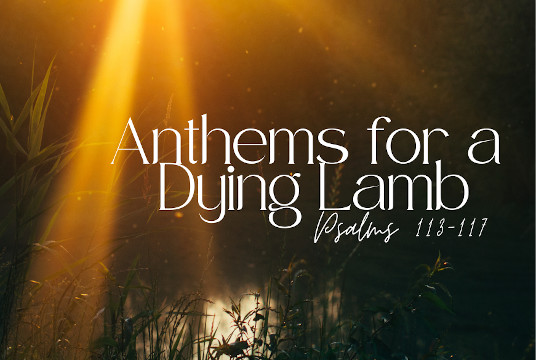 Anthems for a Dying Lamb