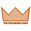 The Promised King - Studies in Matthew 1-4